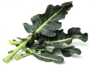 broccoleaf ofwel broccoliblad